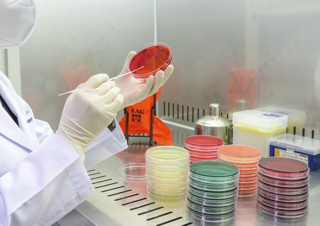 Vintage design elements